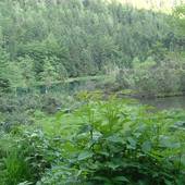 Falkenstein2005_19.JPG