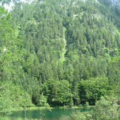 Falkenstein_05.jpg