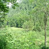 Falkenstein_06.jpg