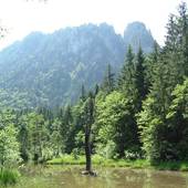 Falkenstein_07.jpg
