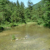 Falkenstein_08.jpg