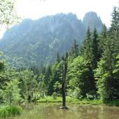 Falkenstein_09.jpg