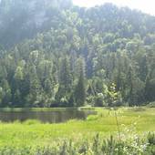 Falkenstein_13.jpg