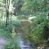 Falkenstein_17.jpg