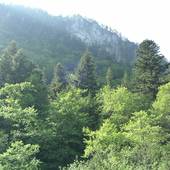 Falkenstein_21.jpg