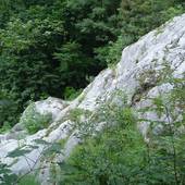 Falkenstein_25.jpg