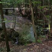 Falkenstein_27.jpg