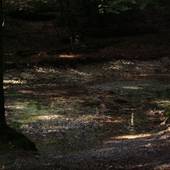 Falkenstein_28.jpg