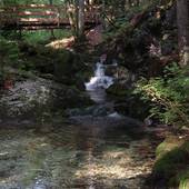Falkenstein_29.jpg