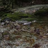 Falkenstein_30.jpg