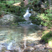 Falkenstein_31.jpg