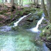Falkenstein_32.jpg