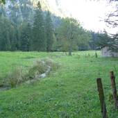 Falkenstein_33.JPG