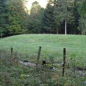 Falkenstein_34.JPG