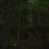 Falkenstein_38.JPG