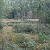 Falkenstein_41.JPG