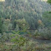 Falkenstein_43.JPG