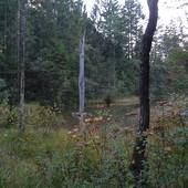 Falkenstein_48.JPG
