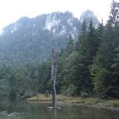 Falkenstein_50.JPG