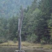 Falkenstein_51.JPG