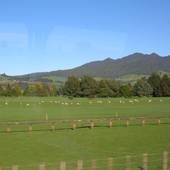 New-Zealand_2005_0805.JPG