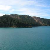 New-Zealand_2005_0447.JPG