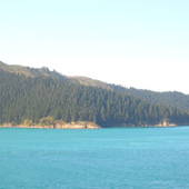 New-Zealand-2007-724.JPG