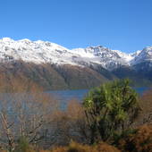 New-Zealand-2007-387.JPG